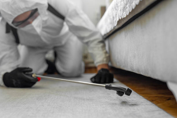 Professional Bed Bug Control technician working in Village Shires, PA